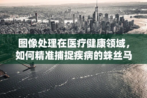 图像处理在医疗健康领域，如何精准捕捉疾病的蛛丝马迹？