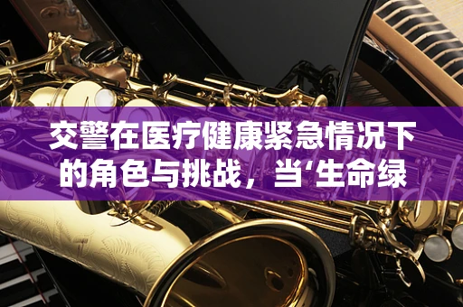 交警在医疗健康紧急情况下的角色与挑战，当‘生命绿灯’遇上‘时间警钟’