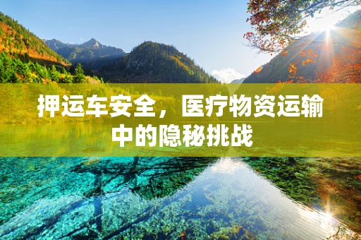 押运车安全，医疗物资运输中的隐秘挑战