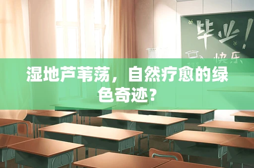 湿地芦苇荡，自然疗愈的绿色奇迹？