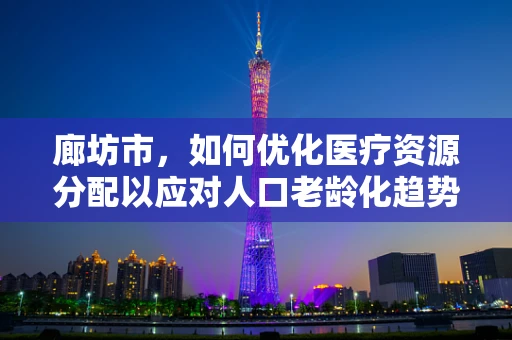 廊坊市，如何优化医疗资源分配以应对人口老龄化趋势？
