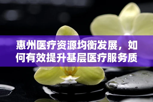惠州医疗资源均衡发展，如何有效提升基层医疗服务质量？