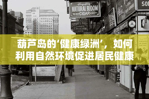 葫芦岛的‘健康绿洲’，如何利用自然环境促进居民健康？