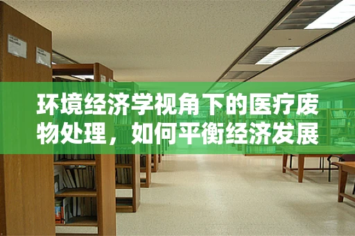 环境经济学视角下的医疗废物处理，如何平衡经济发展与公共卫生安全？