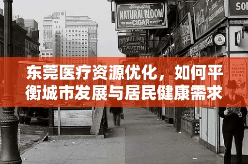 东莞医疗资源优化，如何平衡城市发展与居民健康需求？