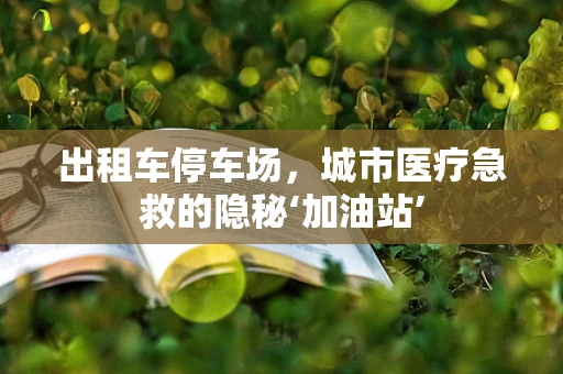 出租车停车场，城市医疗急救的隐秘‘加油站’