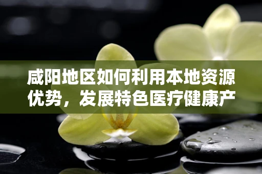咸阳地区如何利用本地资源优势，发展特色医疗健康产业？