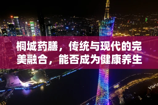 桐城药膳，传统与现代的完美融合，能否成为健康养生新风尚？