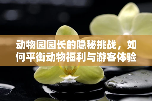 动物园园长的隐秘挑战，如何平衡动物福利与游客体验？