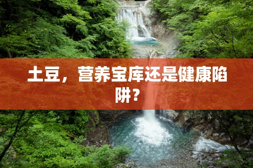 土豆，营养宝库还是健康陷阱？