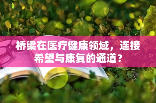 桥梁在医疗健康领域，连接希望与康复的通道？