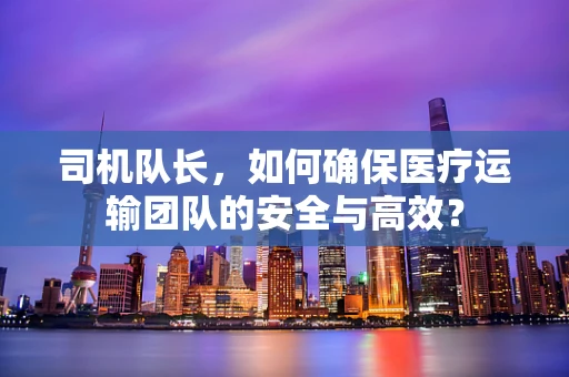 司机队长，如何确保医疗运输团队的安全与高效？