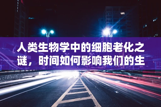 人类生物学中的细胞老化之谜，时间如何影响我们的生命？