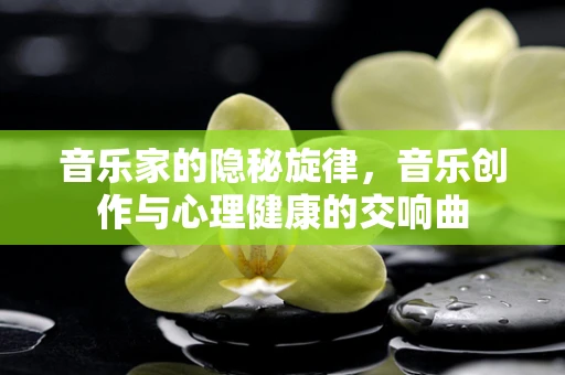 音乐家的隐秘旋律，音乐创作与心理健康的交响曲