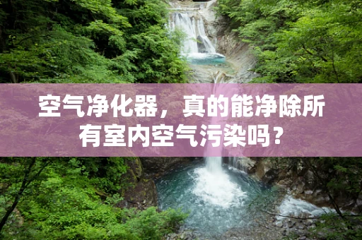 空气净化器，真的能净除所有室内空气污染吗？
