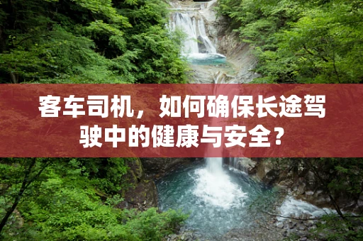 客车司机，如何确保长途驾驶中的健康与安全？