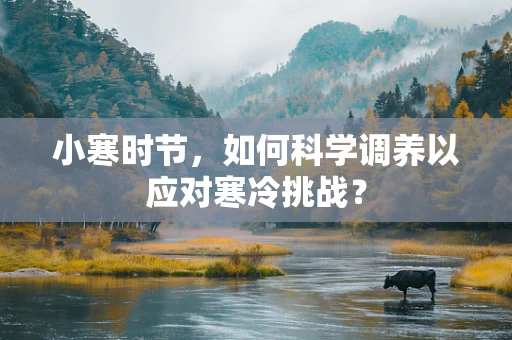 小寒时节，如何科学调养以应对寒冷挑战？