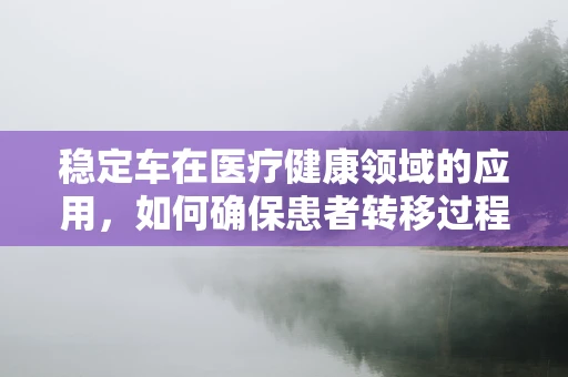 稳定车在医疗健康领域的应用，如何确保患者转移过程中的安全？
