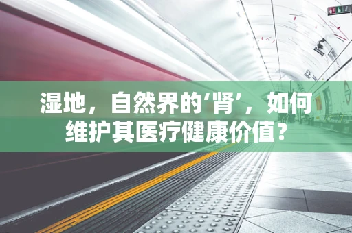 湿地，自然界的‘肾’，如何维护其医疗健康价值？