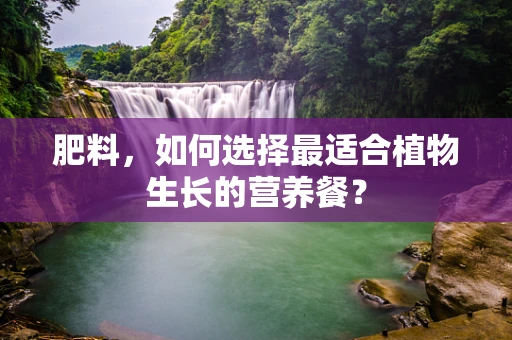 肥料，如何选择最适合植物生长的营养餐？