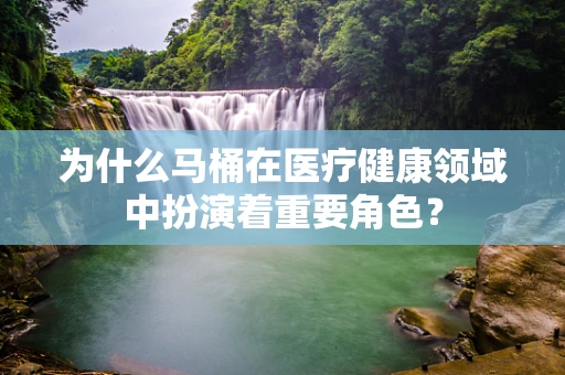 为什么马桶在医疗健康领域中扮演着重要角色？