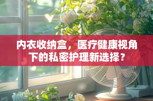 内衣收纳盒，医疗健康视角下的私密护理新选择？
