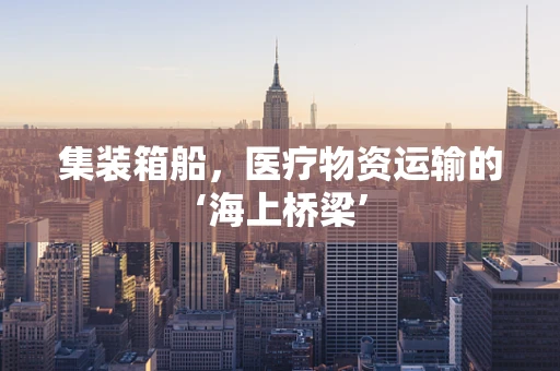 集装箱船，医疗物资运输的‘海上桥梁’