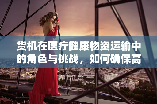 货机在医疗健康物资运输中的角色与挑战，如何确保高效、安全地空运生命？