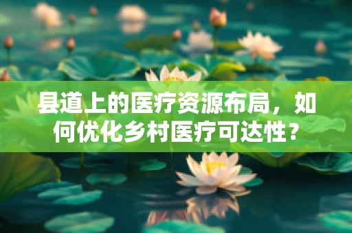 县道上的医疗资源布局，如何优化乡村医疗可达性？
