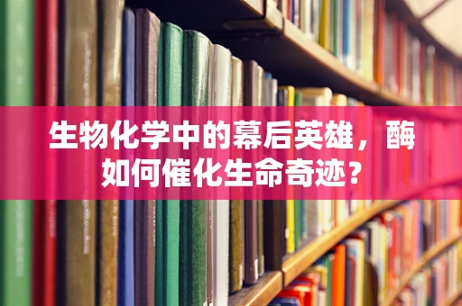 生物化学中的幕后英雄，酶如何催化生命奇迹？
