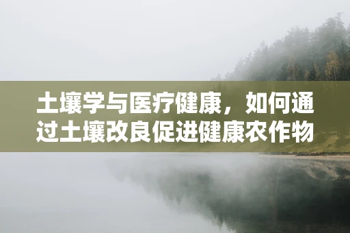 土壤学与医疗健康，如何通过土壤改良促进健康农作物的生长？