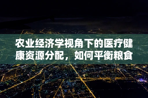 农业经济学视角下的医疗健康资源分配，如何平衡粮食安全与健康福祉？