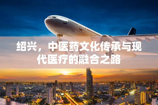 绍兴，中医药文化传承与现代医疗的融合之路