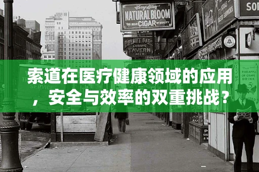 索道在医疗健康领域的应用，安全与效率的双重挑战？