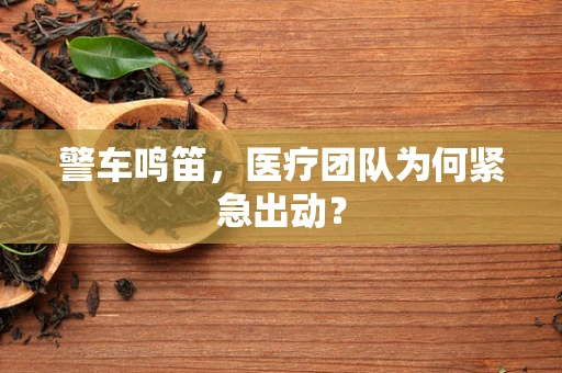 警车鸣笛，医疗团队为何紧急出动？