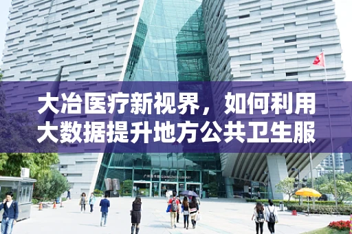 大冶医疗新视界，如何利用大数据提升地方公共卫生服务效率？
